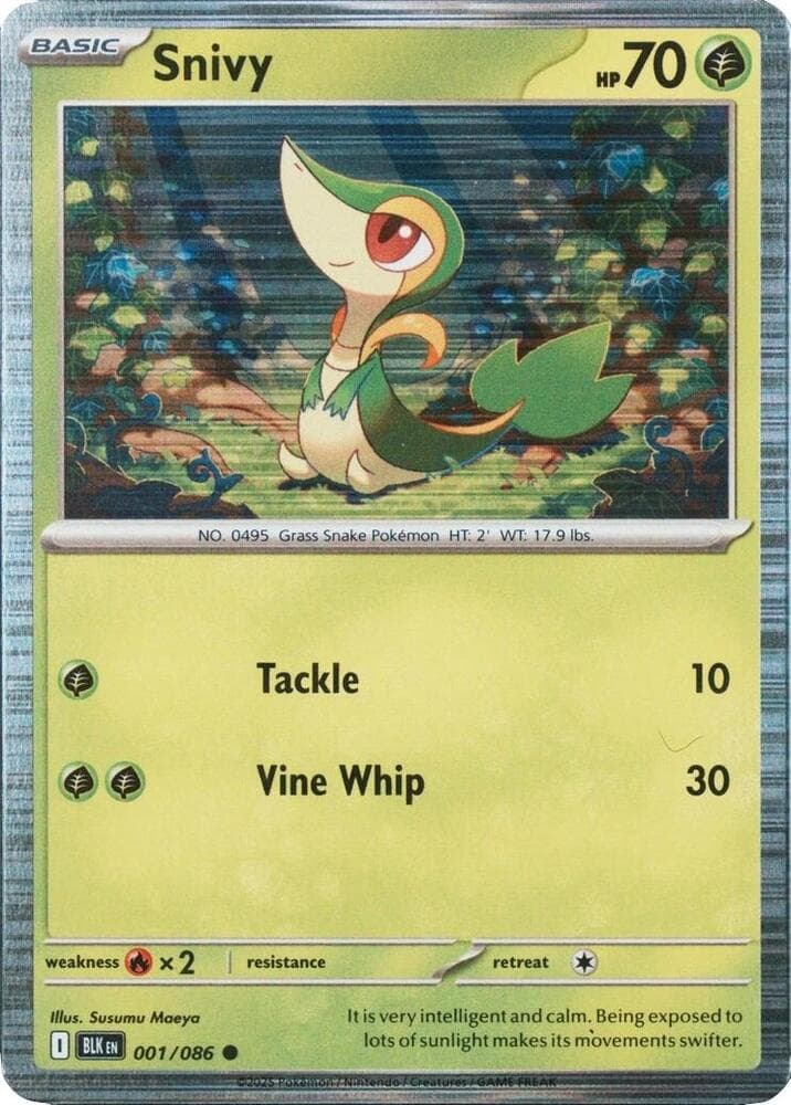 Miscellaneous Cards & Products